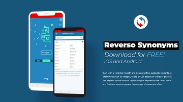 Reverso Synonyms Dictionary APP