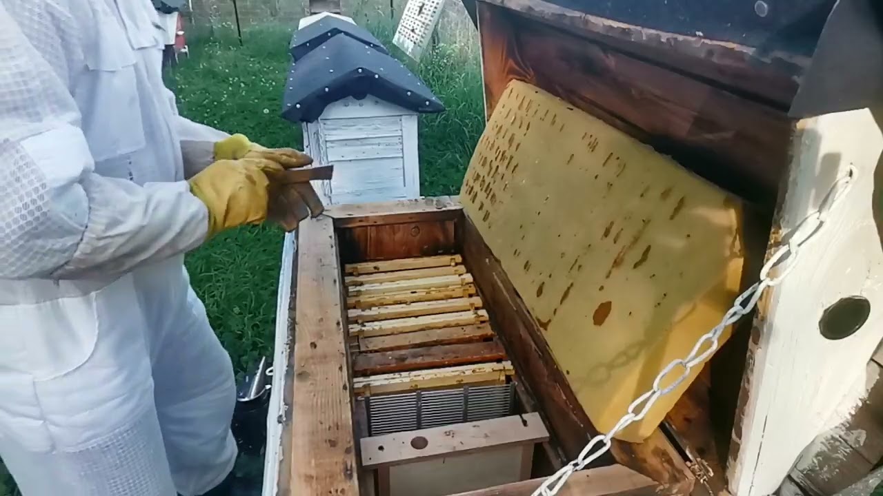 Wreszcie na pasiece 😂 Wycofujemy ramki  i leczymy pszczoły.