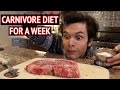 I tried the Carnivore Diet for a week...