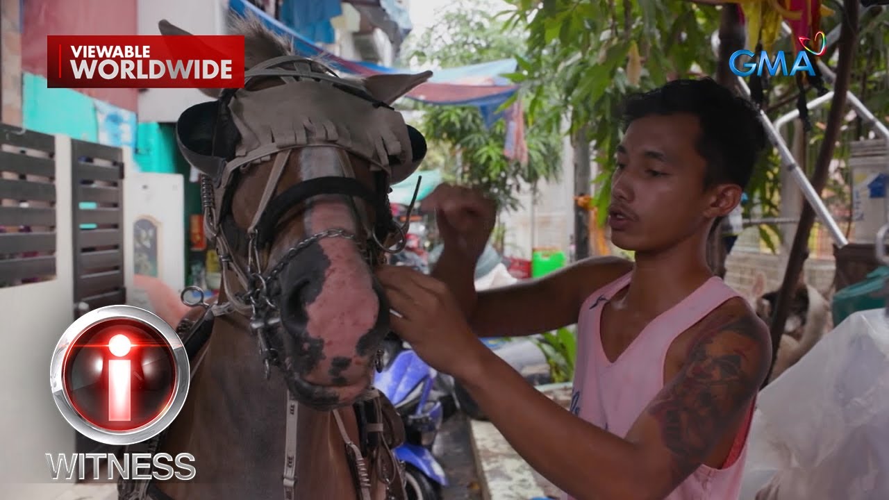 Kilalanin ang walong kabayo ng mga kalesa operator mula Tondo | I-Witness