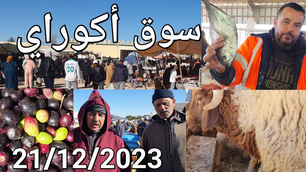 أثمنة الزيت والزيتون والخضر واللحوم أكوراي اليوم الخميس 21/12/2023