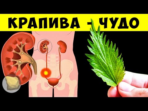 Видео: Венок из кукурузной шелухи своими руками – советы по изготовлению венка из кукурузной шелухи