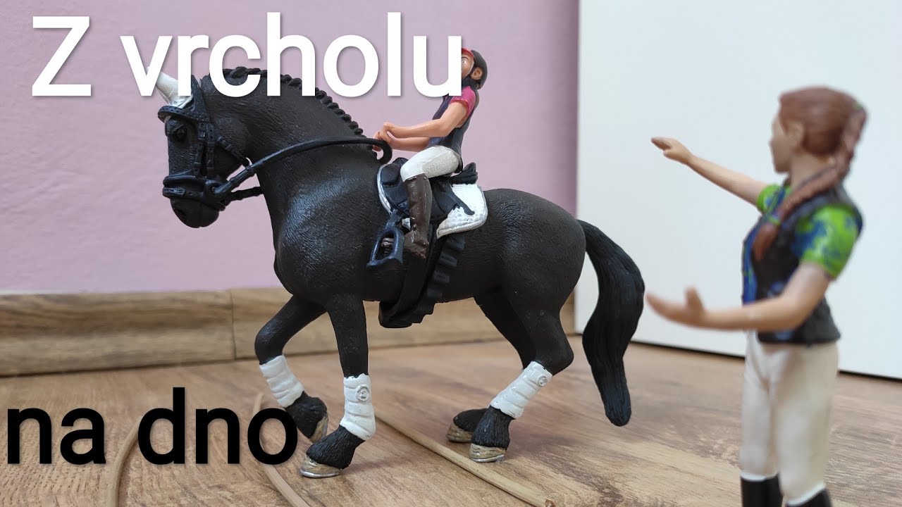 Z vrcholu na dno /Schleich (film)