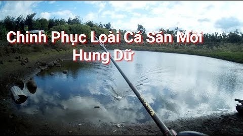 Câu Cá Lóc Bằng Nhái Nhảy cho Người Mới NHẬP MÔN CÂU LURE | Snakehead fishing