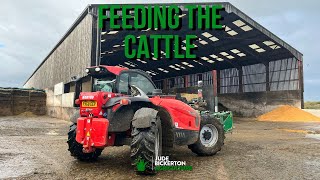I'm back! Demo Manitou Feeding up the cattle.