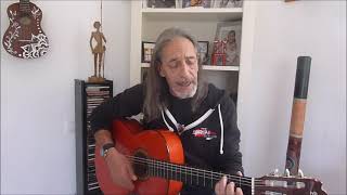 Video thumbnail of "EL CONDOR PASA cover"