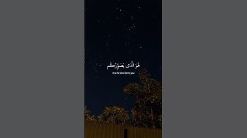 ﴿ إن الله لا يَخفى عليهِ شيء فِي الأرضِ ﴾ سوره آل عمران، عبدالرحمن مسعد
