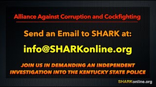 SHARK & Others Pursue Kentucky State Police Corruption
To add your name to the letter or send completely anonymous cockfighting tips contact SHARK at:
Email: tips@sharkonline.org,
Phone: (630) 385-0244
Learn more at: CrushCockfighting.com
Join SHARKs Quick Response Team:
info@sharkonline.org
Visit our website: https://sharkonline.org/
Sponsor SHARK on Patreon:
https://www.patreon.com/SHARKonline
Learn more about donating to SHARK here:
https://tinyurl.com/mjvmkp9u
Every time you shop at any of the 2,000+ online stores in the iGive network, a portion of the money you spend benefits Showing Animals Respect and Kindness. Its a free service and youll never pay more when you reach a store through iGive. Start iGiving at: www.iGive.com/animals
You can also donate to us through the PayPal Giving Fund: https://www.paypal.com/us/fundraiser/charity/211689
Purchase SHARK shirts, cups, bags, and more at our Cafe Press store: https://www.cafepress.com/showinganimalsrespectandkindness
Like SHARK on Facebook: https://www.facebook.com/sharkonlineorg/
Follow SHARK on Twitter: https://twitter.com/sharkonline
Follow us on Instagram: @sharkonlineorg
The purpose of this video is to educate the public about animal abuse and those who commit it. It is not intended to be shocking or sensational. SHARK & Others Pursue Kentucky State Police Corruption