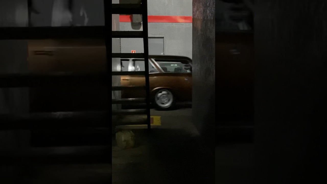 Cuidado que o seizão vem aí….