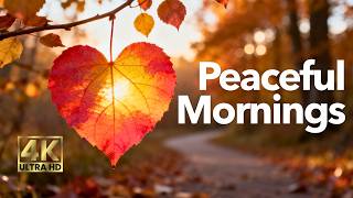 A Little Calm Before a Full Day 🍁 Fall Sunrise & Relaxing Chill Pop for Cozy Mornings