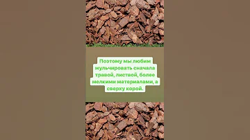 Учитывайте это при мульчировании корой деревьев #дачныйагроном