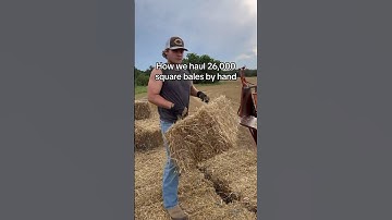 26,000 square bales by hand! #farming #farmer #farm