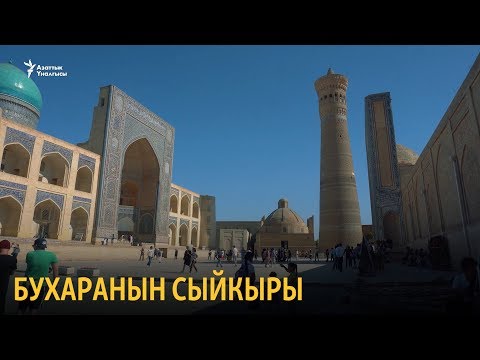 Video: Кара мышыктардын сыйкыры