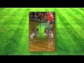 ppt1 handball onlyimages