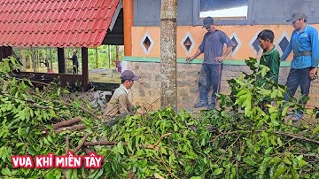 Vua Khỉ cùng đệ tử cưa cây Sao nằm ở vị trí khó tại Thác 3 Tầng, Bình Thuận (Phần 2/2).