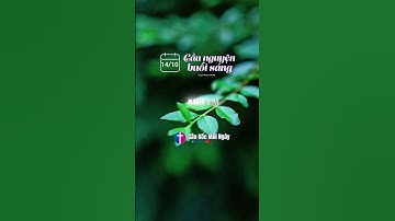 Cầu nguyện buổi sáng 14/10 Tác giả 𝗠𝗮𝗿𝗰𝘂𝘀 𝗦𝘁𝗮𝗻𝗹𝗲𝘆 Biên tập Câu Gốc Mỗi Ngày
