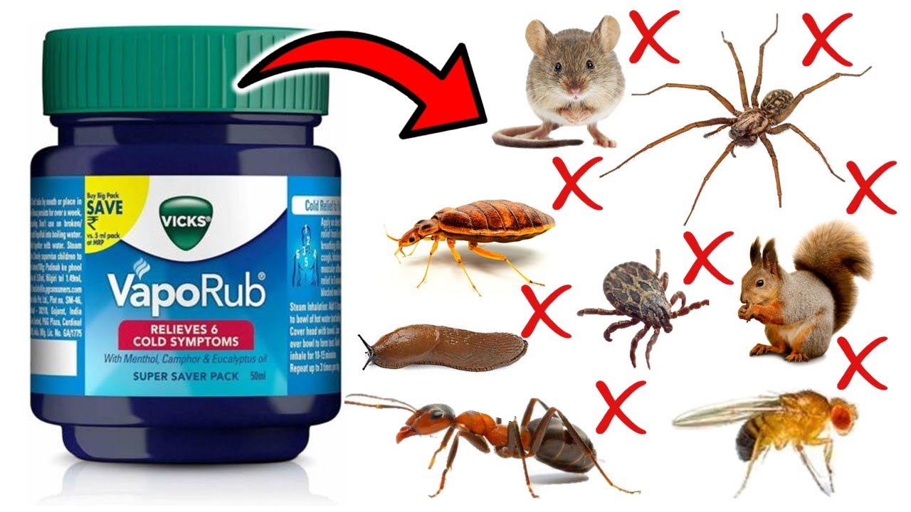 Vicks Vapor esfrega mosquitos repele?