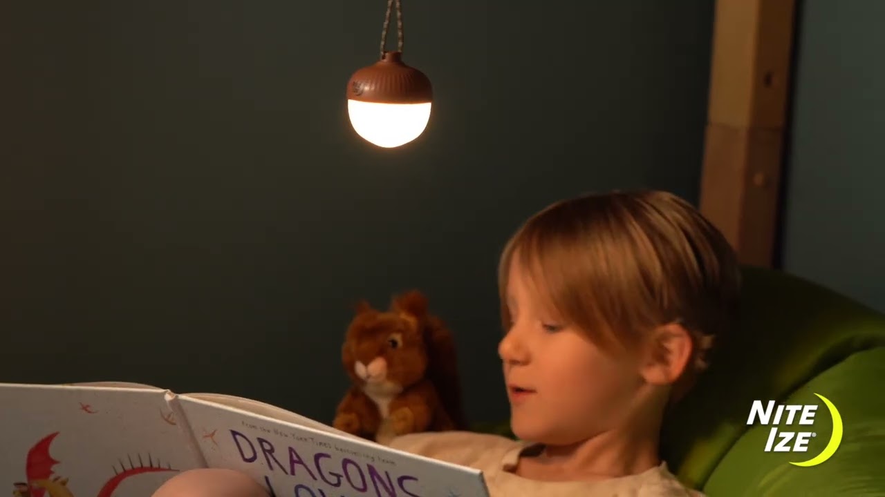 Preview of Nite Ize Radiant NutLit RCHRG Lantern Video