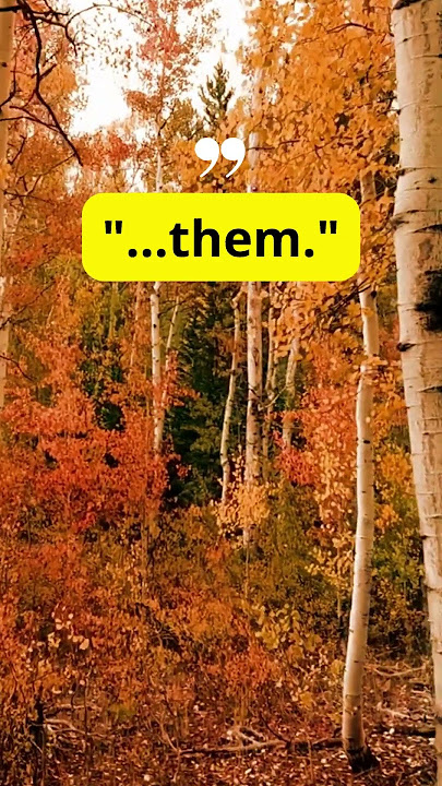 #Shorts#ShortVideo#QuickTips#Creative#ChallengeAccepted#ComedyShor