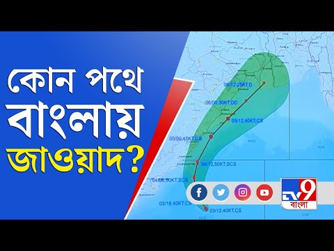 ভিডিও: ভয়ে গভীর ডুব