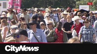 Popular Rodeo event in Houston enforces dress code, should Calgary Stampede Follow suit?