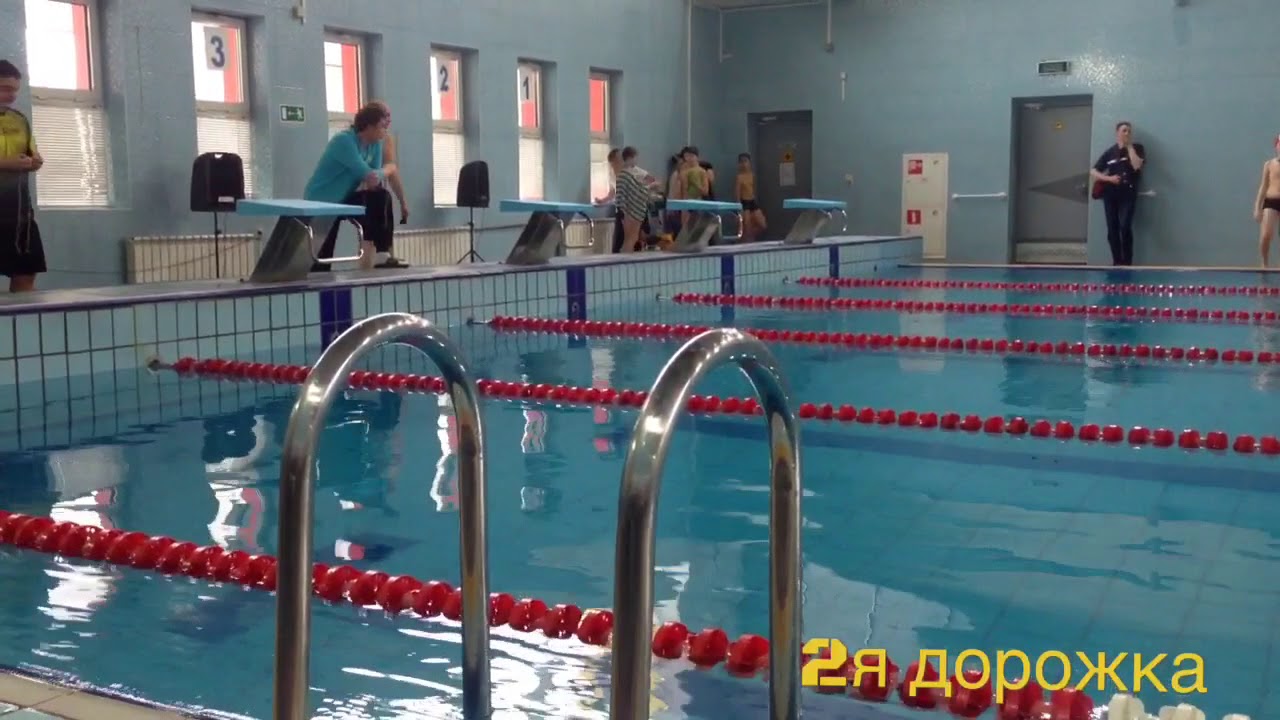 Соревнования Ярослава.Заплыв на спине.Остались без медалей. - YouTube