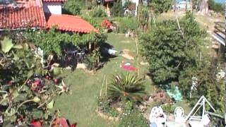 Orchester Übt Im Garten Am Meer (1995) Resimi