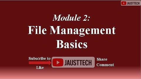 Module 2 File Management Basics Excel Practical