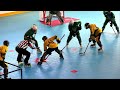 Sweden Vs Brazil