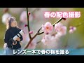 配色撮影の極意〜🌸背景の色を変えるだけでこんなに違う!