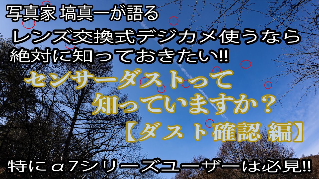 センサーダストって知っていますか？」【ダスト確認編】 - YouTube