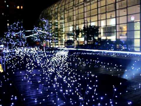 星光花園 @ 新城市廣場