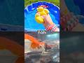 Kids Learn | Sea Animal Names with Toys: Whale Fish Lionfish Sea Otter Lobster