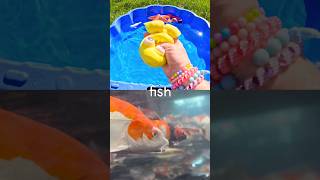 Kids Learn | Sea Animal Names with Toys: Whale Fish Lionfish Sea Otter Lobster