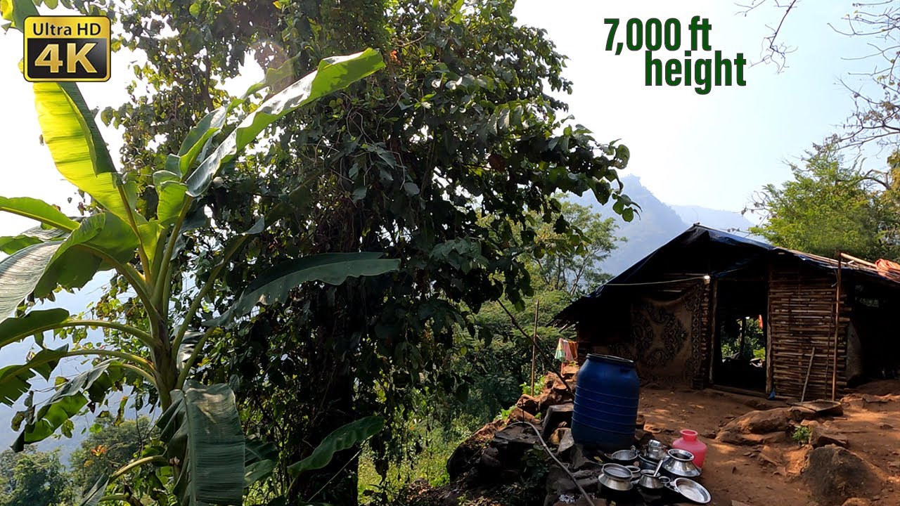 A Tribal House on Top of a Hill | மலைச்சரிவில் ஒரு வீடு | Near Ooty | Nilgiris