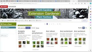 How to Search the Plant Toolbox for North Carolina Native Plants