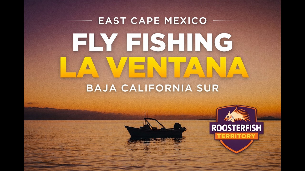 Fly Fishing La Ventana Baja California Sur | East Cape Fishing Adventure
