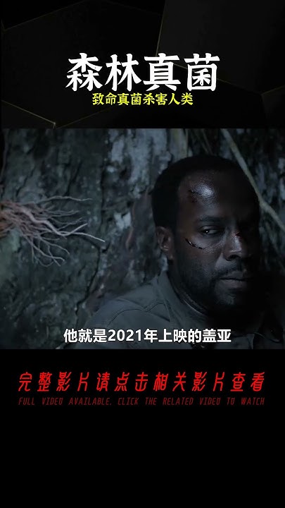 RStudio的下载与安装百度经验