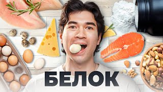 Сколько Нужно Белка?