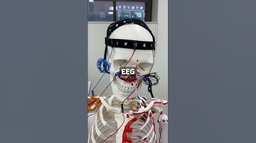 DIY Brainwave Monitoring: Biomedical Instrumentation Innovation and Insight