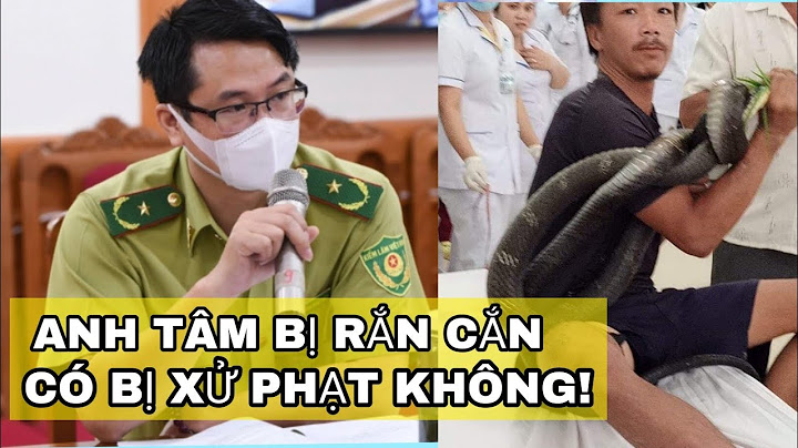 Người đàn ông bị rắn hổ mang chúa cắn ở Tây Ninh có bị xử phạt không?