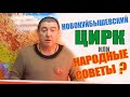 Новокуйбышевский ЦИРК или Народные советы?