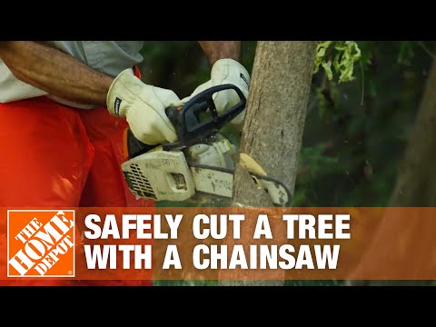 How to Cut a Tree with a Chainsaw Safely | The Home Depot