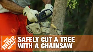 How to Cut a Tree with a Chainsaw Safely