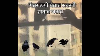 #pitrus #pitrudan #crow #dan #earlyawakening