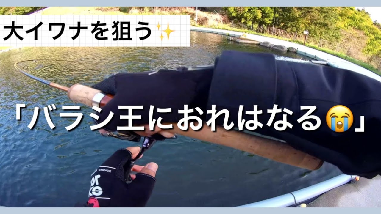 大イワナを狙う✨ミノーイングで「バラシ王におれはなる💦」足柄キャスティングエリア 【エリアトラウト】