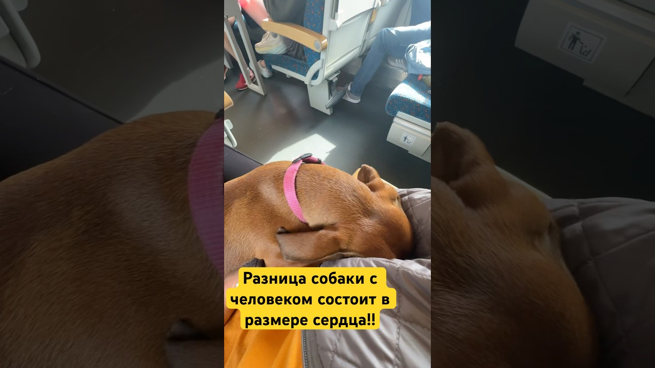 Мой человечек с большим сердцем!