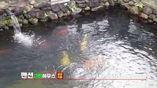 그린하우스펜션 영상