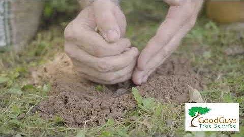 Vertical Mulching Austin, TX