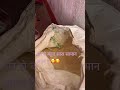 #youtubeshorts #viralvideo #shortvideo #sorts #viralvideo